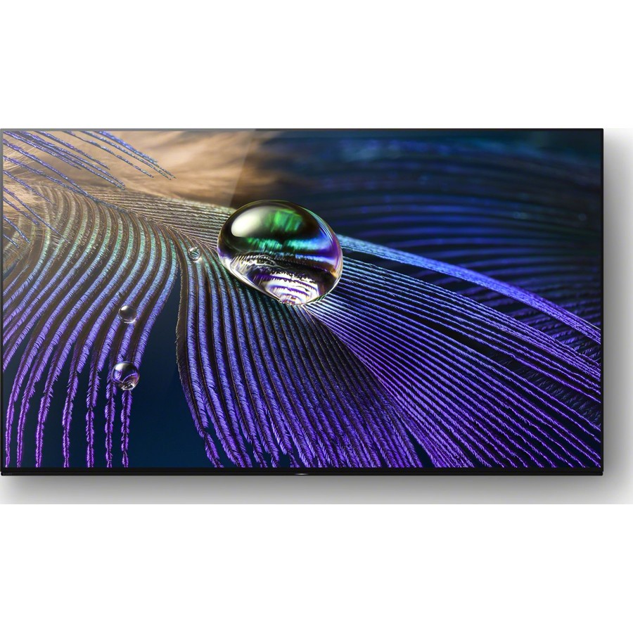 Sony XR-65A90JAEP OLED televisie | Electro World Offermans