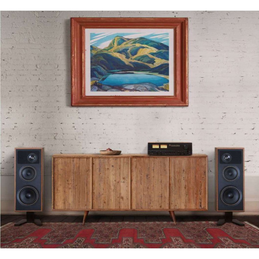 NAD C3050 LE hifi versterker | Electro World Offermans