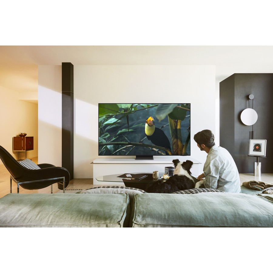 Samsung QE83S95FAEXXN OLED televisie