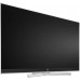 Loewe Stellar 65 DR+ Alu + Alu matt OLED televisie