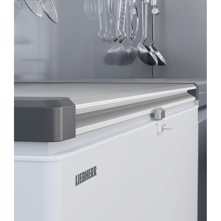 Liebherr EFL 3056-21 vrieskist