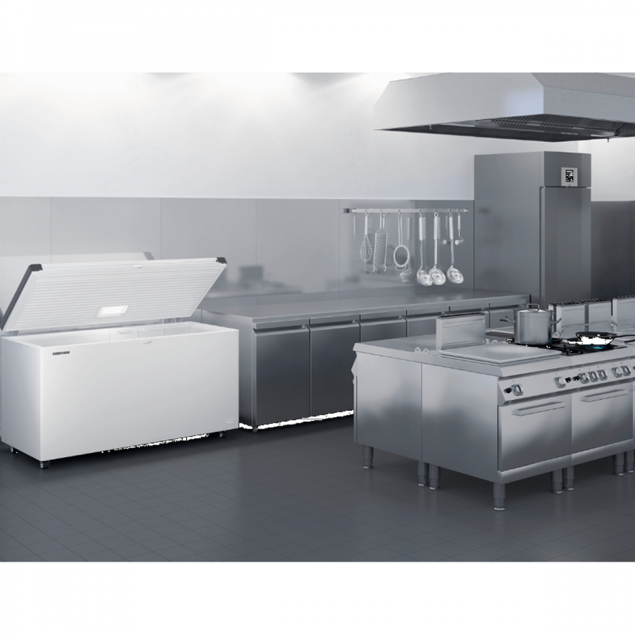 Liebherr EFL 3055-21 vrieskist