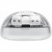 JBL TUNE Flex 2 Ghost White in-ear hoofdtelefoon