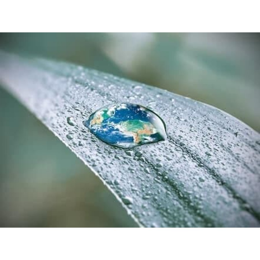 Miele PDR 508 EL SST professionele luchtafvoerdroger