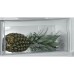 Whirlpool ARG 104702 inbouw koelkast