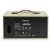 Audio Pro C5 MkII - Saliegroen multiroom luidspreker