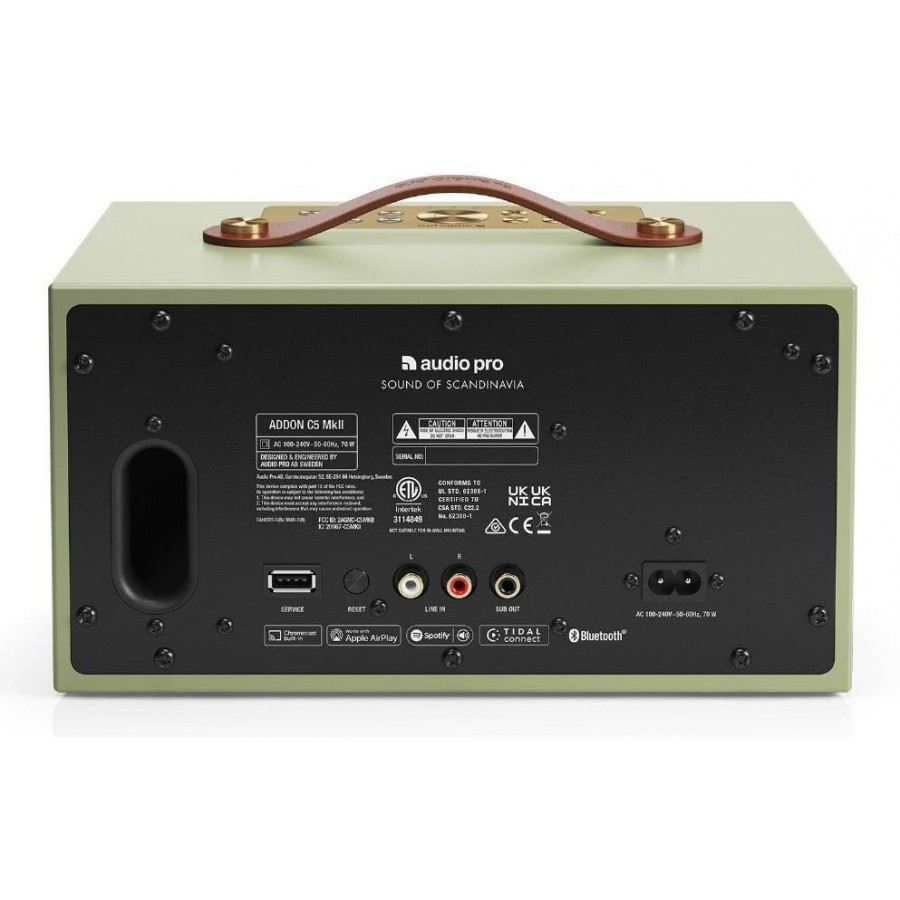 Audio Pro C5 MkII - Saliegroen multiroom luidspreker