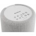 Audio Pro A10 W-Series - Licht Grijs multiroom luidspreker