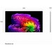 LG OLED 4K 97" G67LW (2026) OLED televisie