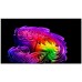 LG OLED 4K 97" G67LW (2026) OLED televisie