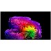 LG OLED 4K 83" G67LW (2026) OLED televisie