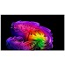 LG OLED 4K 77" G67LW (2026) OLED televisie