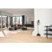 Miele Triflex HX3 steelstofzuiger