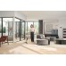 Miele Triflex HX3 Plus steelstofzuiger