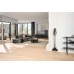 Miele Triflex HX3 Plus steelstofzuiger