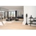 Miele Triflex HX3 Plus Aqua steelstofzuiger