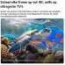 LG 115QNED93B6 LED televisie